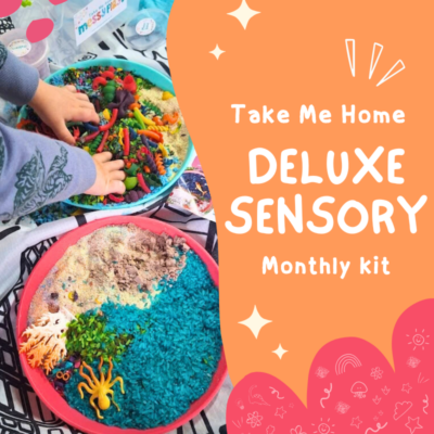 Take Me Home Deluxe Sensory Kit Subscription